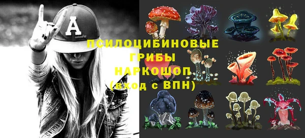 дурь Алзамай