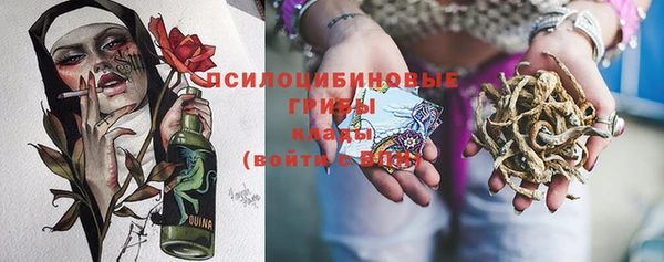 дурь Алзамай