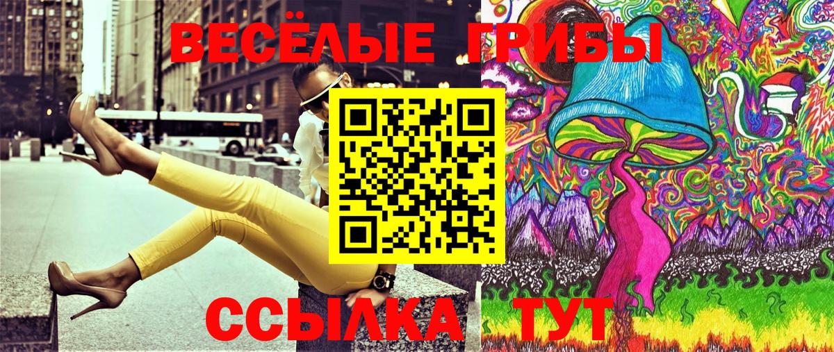 Псилоцибиновые грибы Psilocybe Мыски
