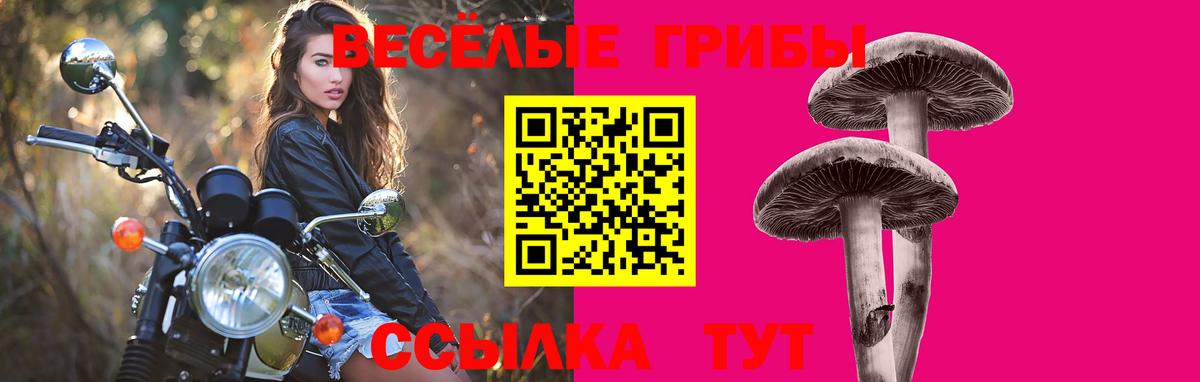 Мыски  Галлюциногенные грибы мицелий  Вход с VPN  Псилоцибиновые грибы Cubensis 